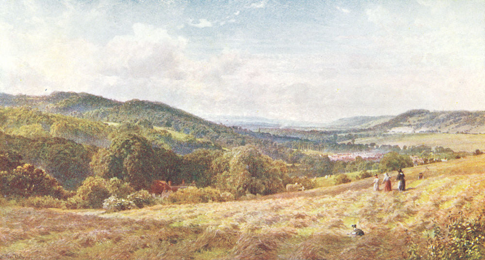 SURREY. Vale of Dorking 1912 old antique vintage print picture